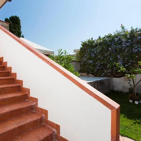 Casa Cavora - Petunie Villa Carini