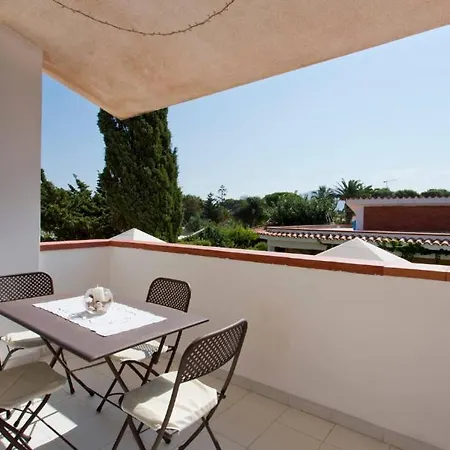 Casa Cavora - Petunie