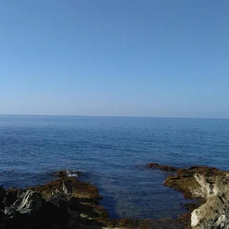 Casa Cavora - Petunie Carini
